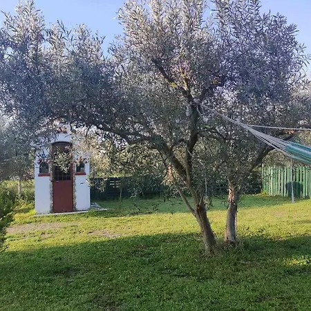 Σπίτι διακοπών πετρινη κατοικια στην φυση Ταγαράδες